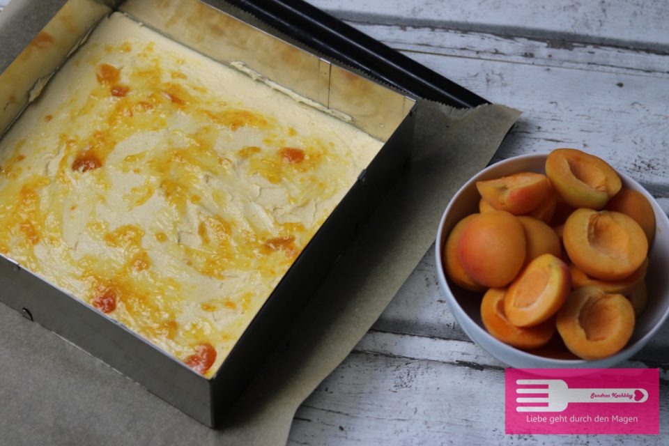 Aprikosenkuchen vom Blech - Sandras Kochblog